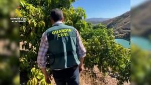 La Guardia Civil investiga a 38 por extracción ilegal de agua en Málaga