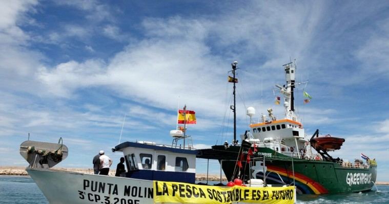 Ecologistas piden un reparto de cuotas pesqueras que favorezca prácticas sostenibles y comunidades costeras