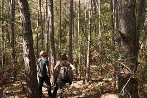 Aumentan un 49% los acuerdos de custodia del territorio en España