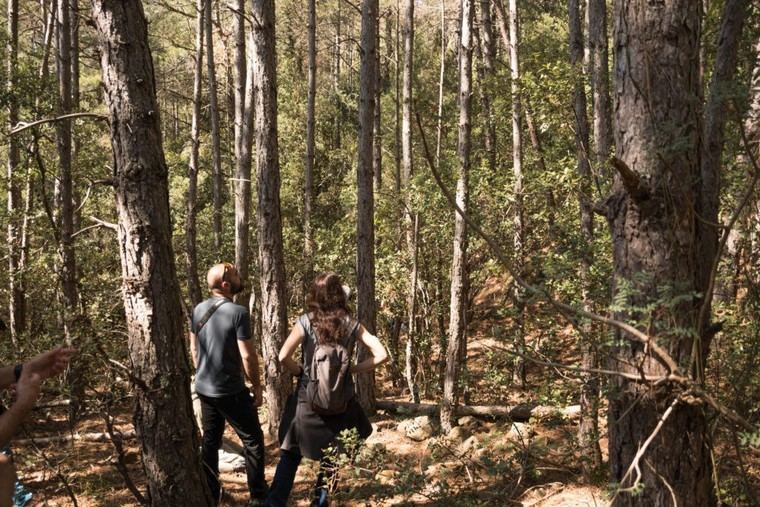 Aumentan un 49% los acuerdos de custodia del territorio en España