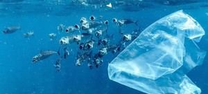 Ginebra negocia tratado para frenar el aumento de residuos plásticos hacia 2060