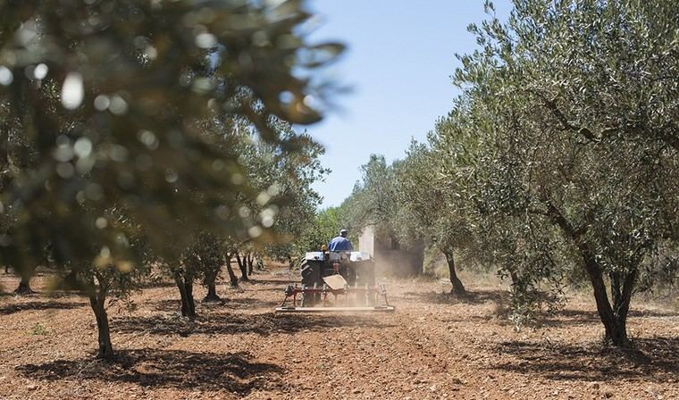 Fallece un hombre tras volcar su tractor en Málaga