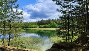 Se crea una Alianza en España para impulsar la restauración ecológica