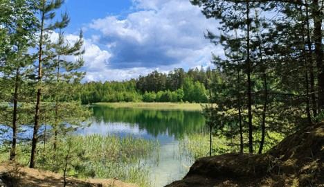 Se crea una Alianza en España para impulsar la restauración ecológica