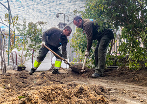 Los días y horas cotizados superan en un 16,4% y un 17,7% los niveles prepandemia