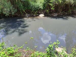 Contaminación por vertidos en la depuradora de Ubrique afecta al río y a la salud pública
