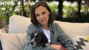 Seis familias buscan dar una nueva vida a perros abandonados en 'Dog House'