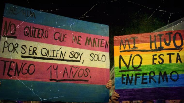 Una de cada cuatro personas trans en España sufre agresiones físicas o sexuales al año