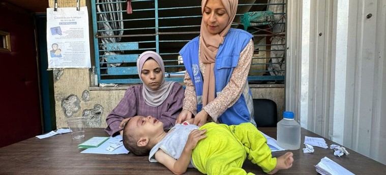 Crisis alimentaria: 20% de los niños en Gaza sufre desnutrición severa